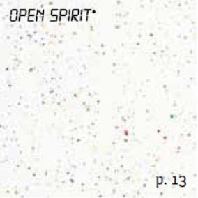 open spirit