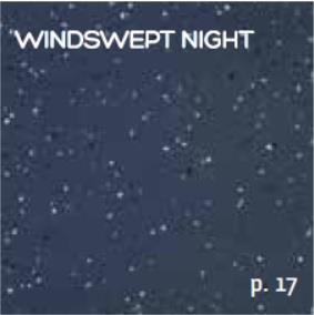 windswept night