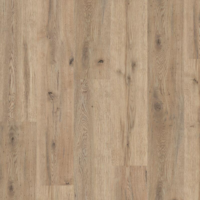 A high-resolution sample of Oiled Oak 4098 Polyflor Expona Commercial LVT, featuring pale, sandy-toned oak planks with realistic surface pitting and soft natural wood grain.