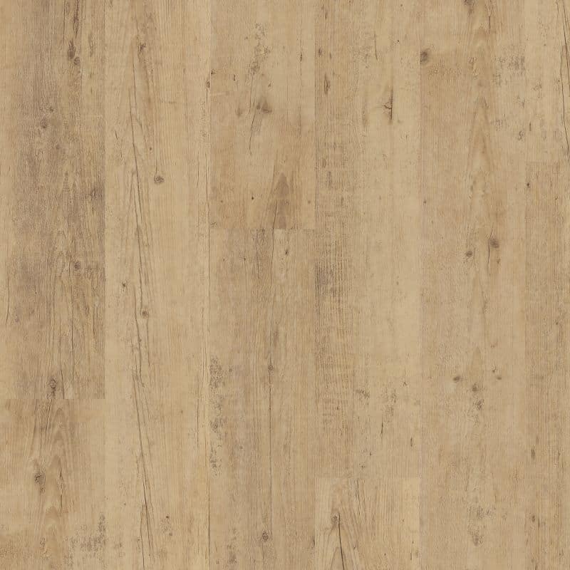 Shoreline Oak 4078